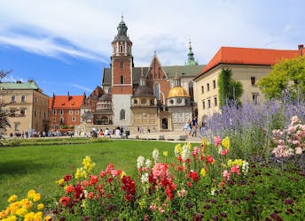 Billet d’entrée à la cathédrale du Wawel et visite guidée